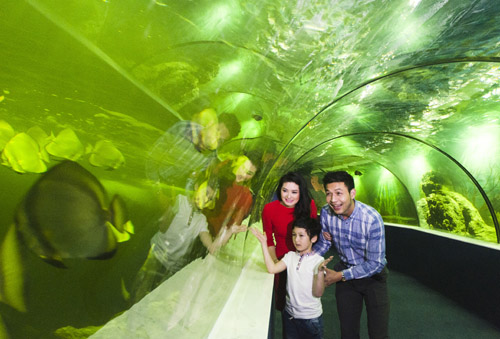 Giới thiệu Vinhomes Times City